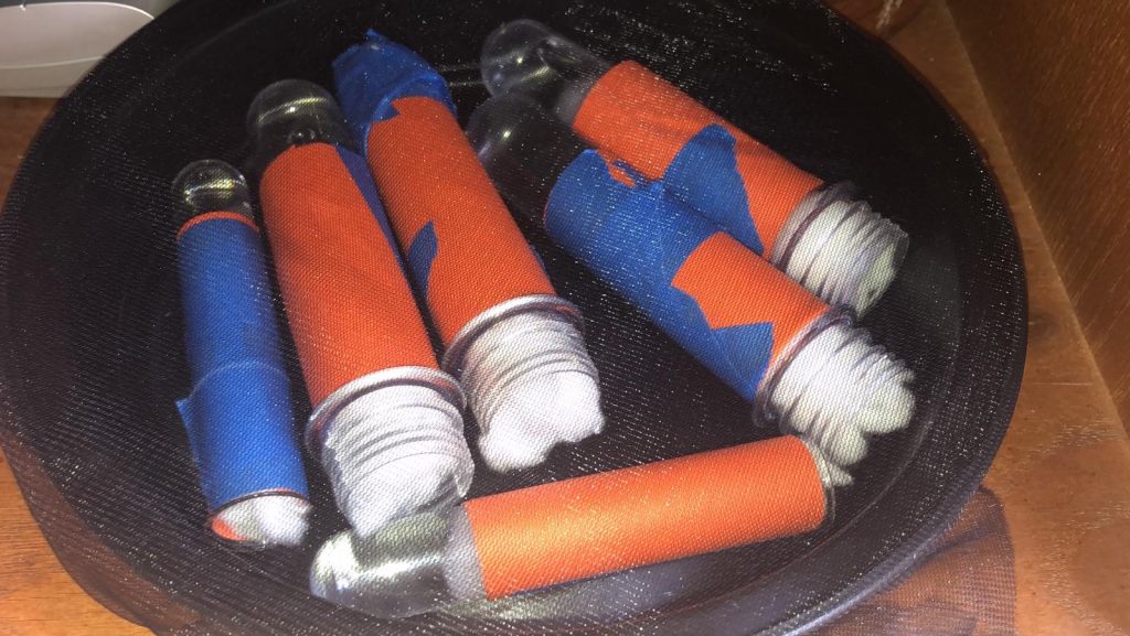 test tubes with queen ants inside