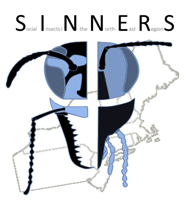 SINNERS conference logo